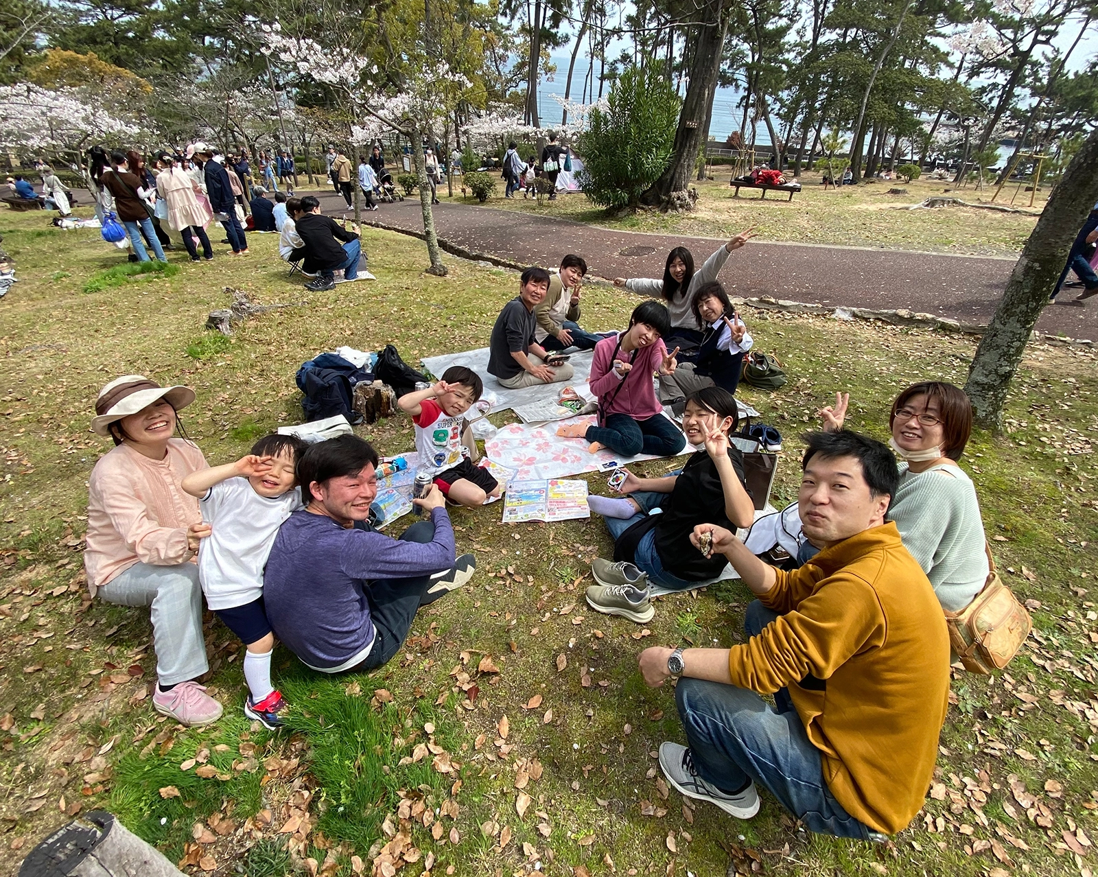 須磨浦公園で満開の桜を楽しみました